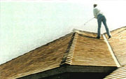 Shingled Roof Treated with Shingle Kote